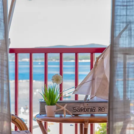 Sardinia Re - Palm Alghero